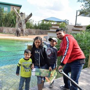 Meet your Posher, Mayra